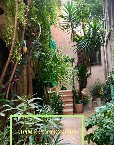 Petite Maison Mitoyenne Au Coeur De Saint Tropez