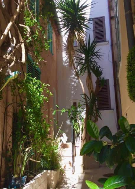 Petite Maison Mitoyenne Au Coeur De Tropez *